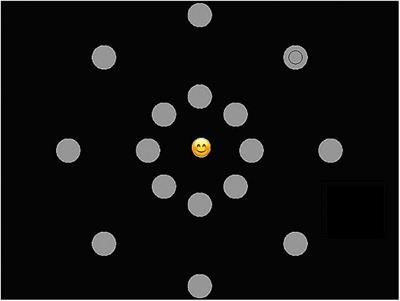 Are Emotion Regulation Strategies Associated With Visual Attentional Breadth for Emotional Information in Youth?